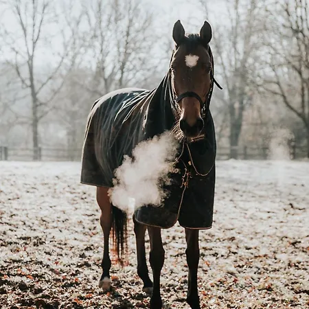 شاليه Rouge-gorge Auriac-du-Périgord