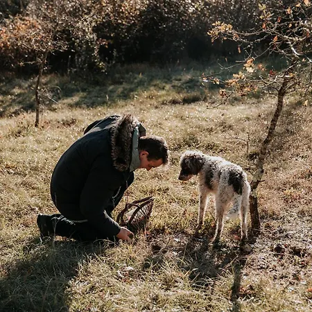 Rouge-gorge شاليه Auriac-du-Périgord