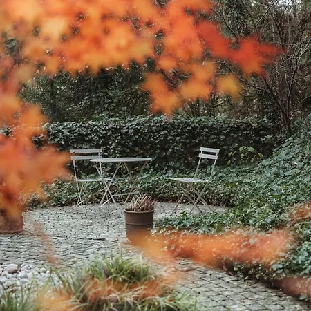 شاليه Rouge-gorge *