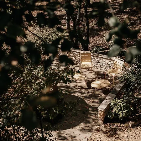 Rouge-gorge * Auriac-du-Périgord