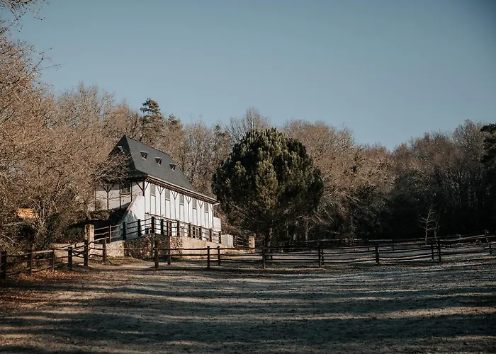 Rouge-gorge Орьяк-дю-Перигор