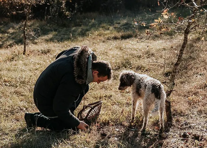 Rouge-gorge شاليه Auriac-du-Périgord